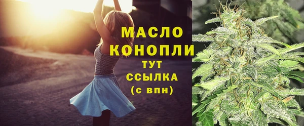 мет Новозыбков