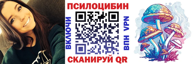 Псилоцибиновые грибы GOLDEN TEACHER  как найти закладки  Котельнич 