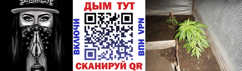 Канабис Amnesia  Котельнич 